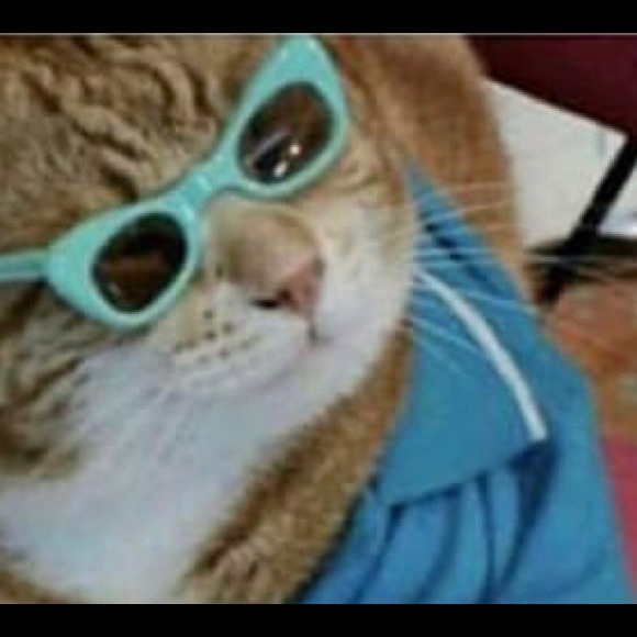 Meet your Posher, David - Picture 1 of 1